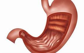 How Do I Reduce My Cholesterol